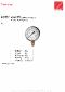 Manometer 110.33-KDE 0 til 4,0 bar G 1/8